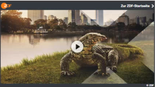 Screenshot zum Video Terra X - wilde Nachbarn